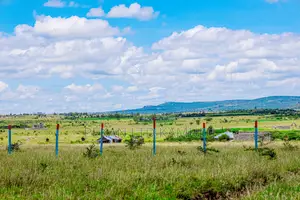1/8 Plots in Sunshine Joska