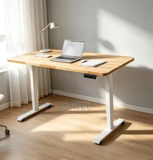 120CM Electric Desk : Electric Standing Computer Desk