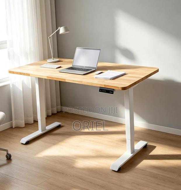 120CM Electric Desk : Electric Standing Computer Desk