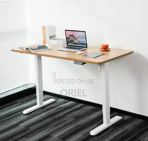 120CM Electric Desk : Electric Standing Computer Desk
