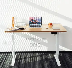 120CM Electric Desk : Electric Standing Computer Desk