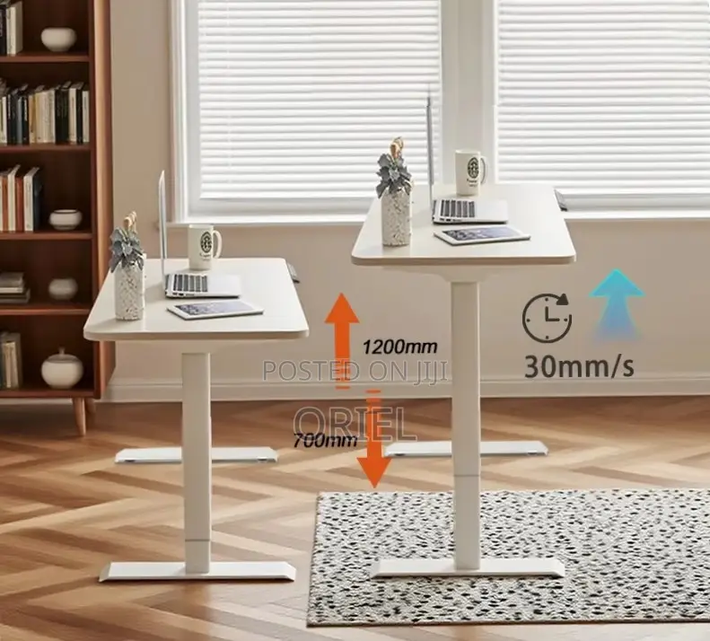 120CM Electric Desk : Electric Standing Computer Desk