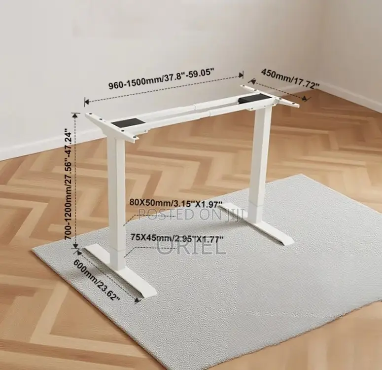 120CM Electric Desk : Electric Standing Computer Desk