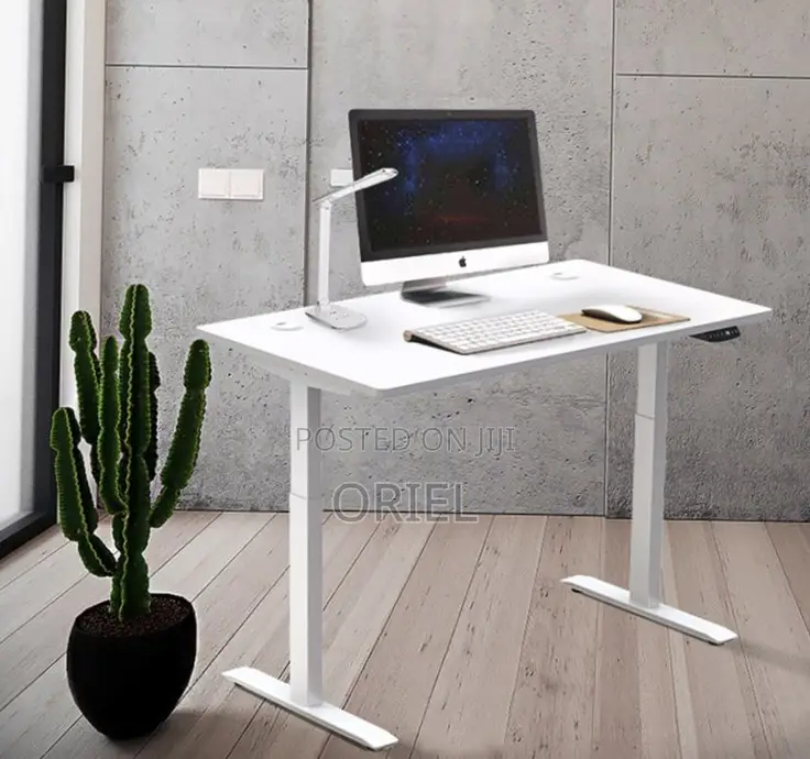 120CM Electric Desk : Electric Standing Computer Desk