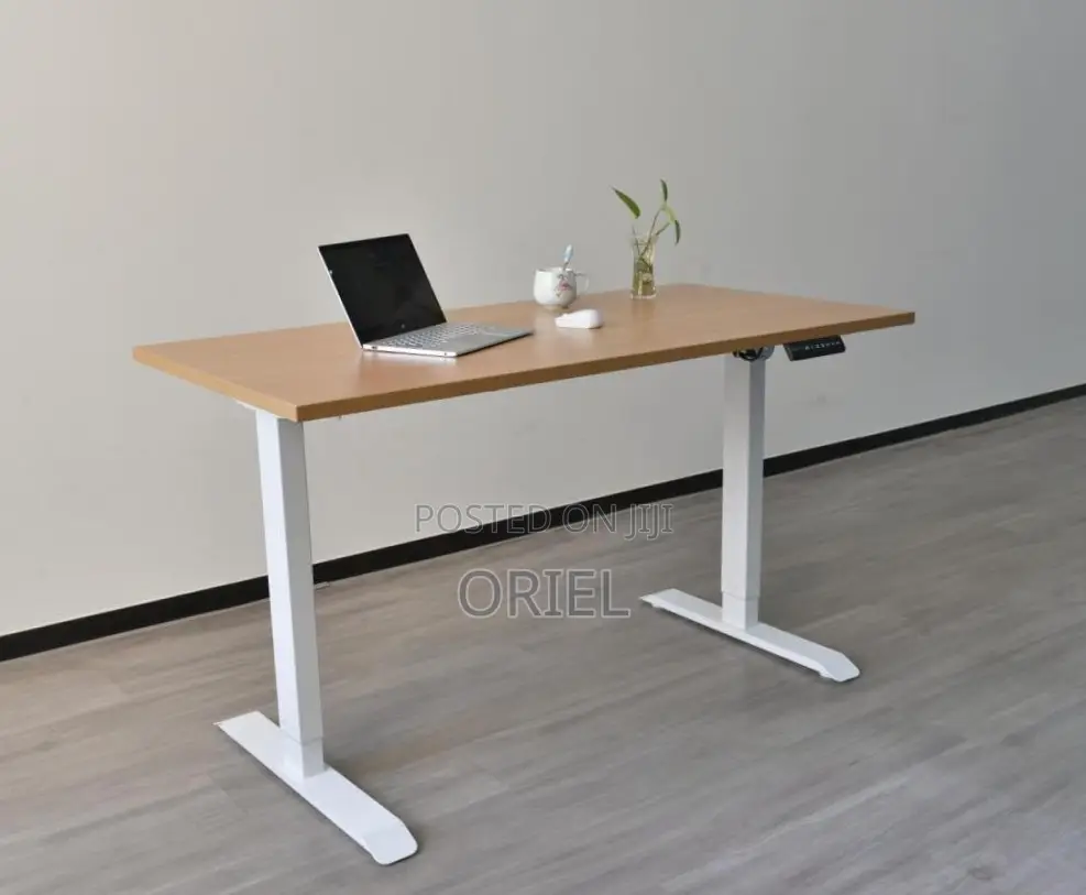 120CM Electric Desk : Electric Standing Computer Desk