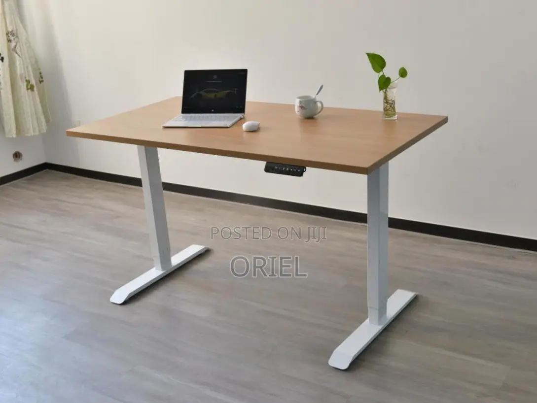 120CM Electric Desk : Electric Standing Computer Desk