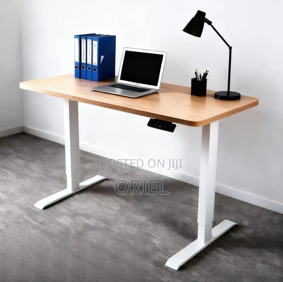120CM Electric Desk : Electric Standing Computer Desk