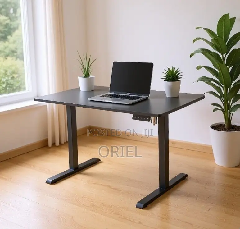 120CM Electric Desk : Electric Standing Computer Desk