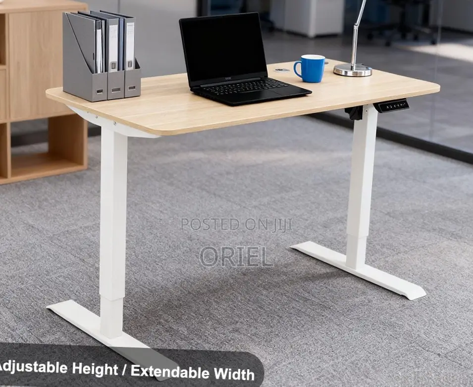 120CM Electric Desk : Electric Standing Computer Desk