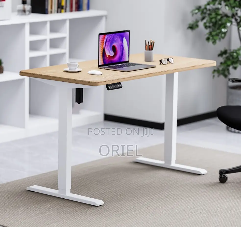 120CM Electric Desk : Electric Standing Computer Desk
