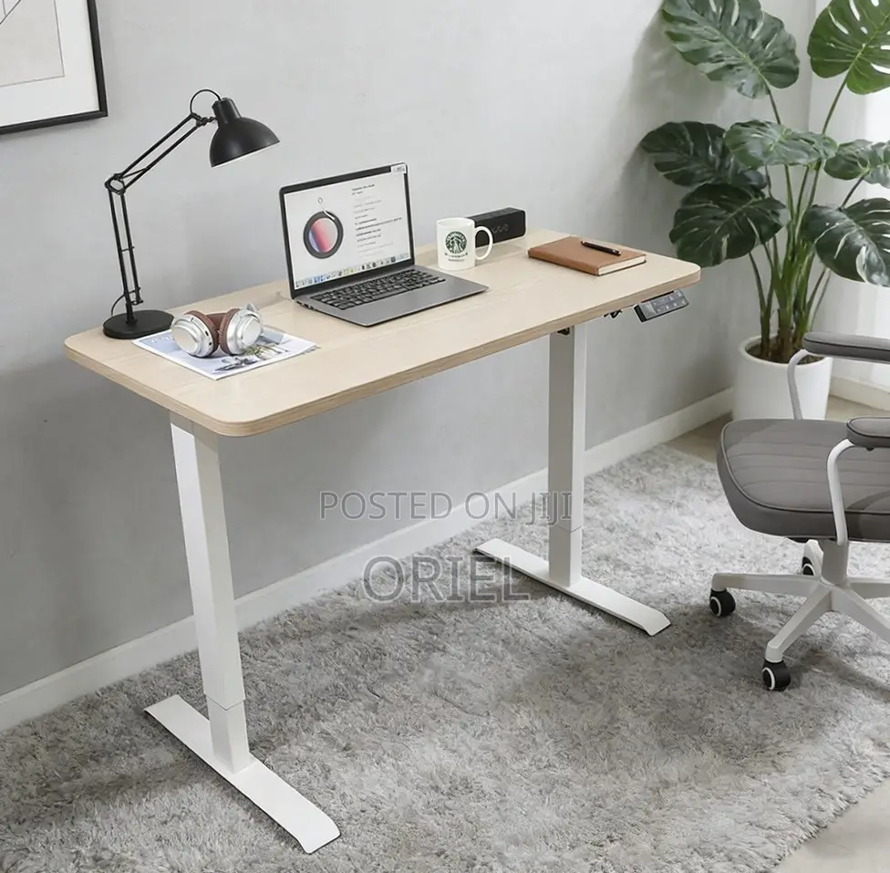 120CM Electric Desk : Electric Standing Computer Desk