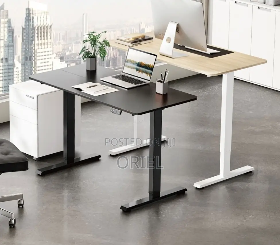 120CM Electric Desk : Electric Standing Computer Desk