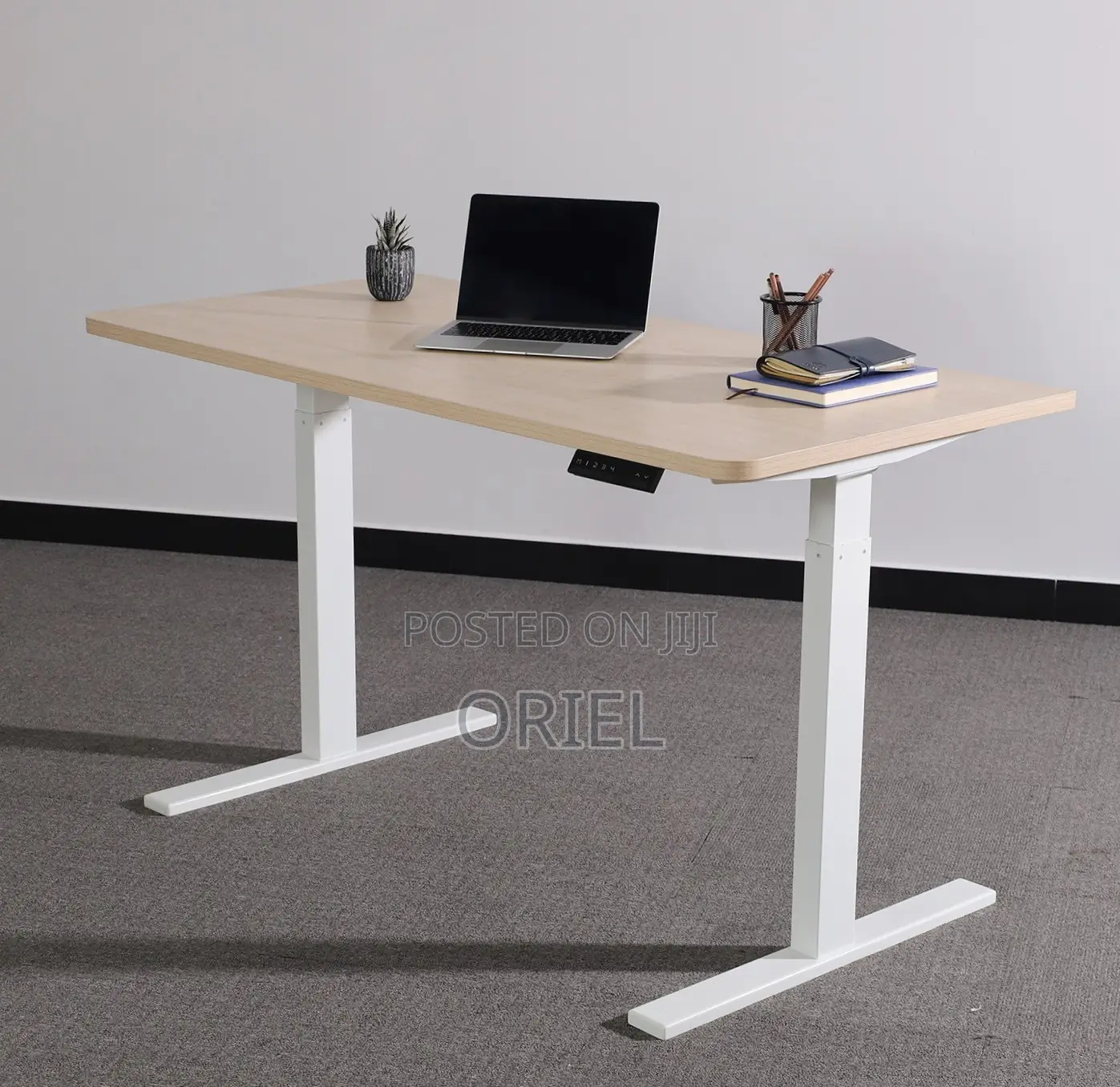 120CM Electric Desk : Electric Standing Computer Desk