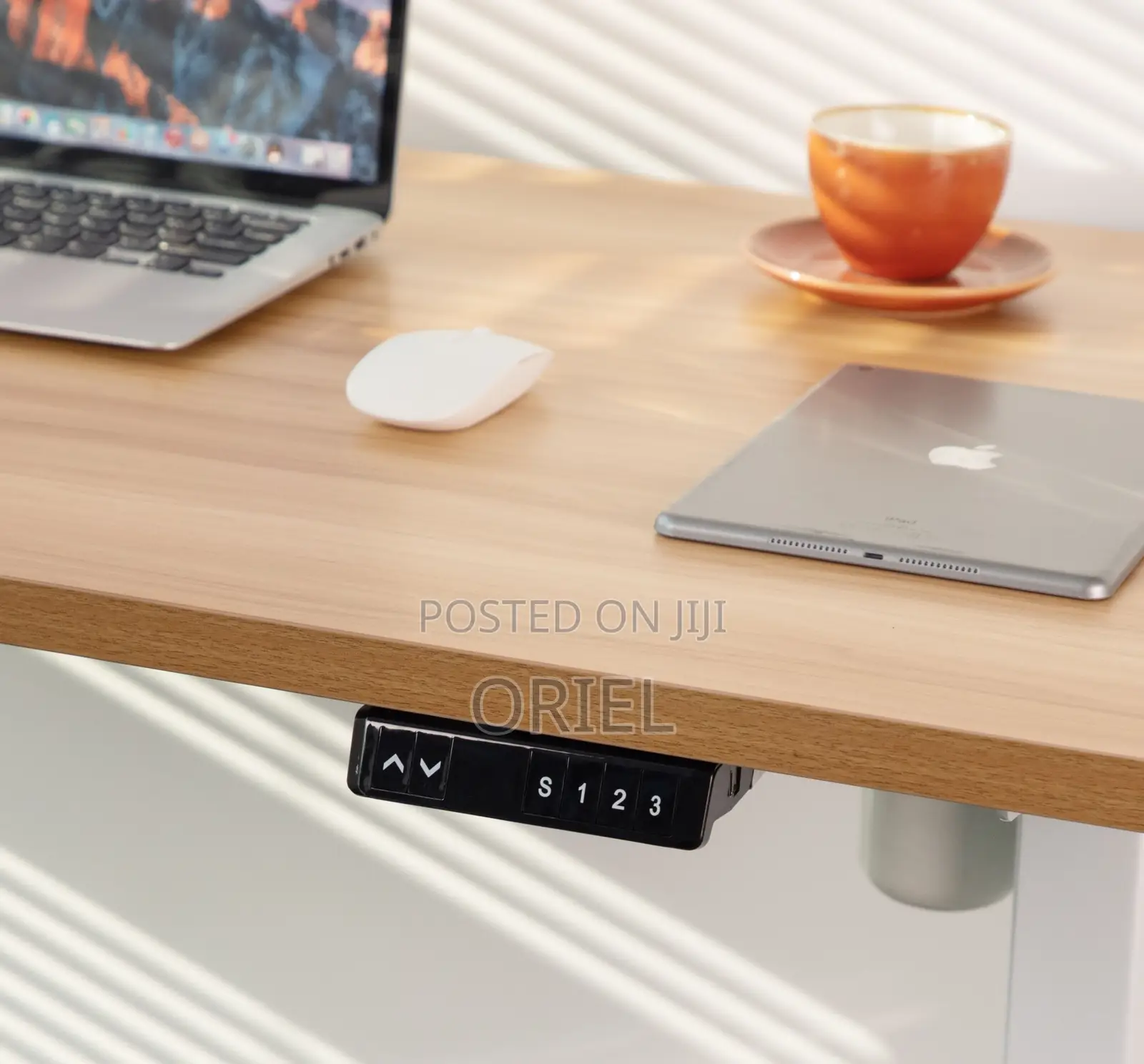 120CM Electric Desk : Electric Standing Computer Desk