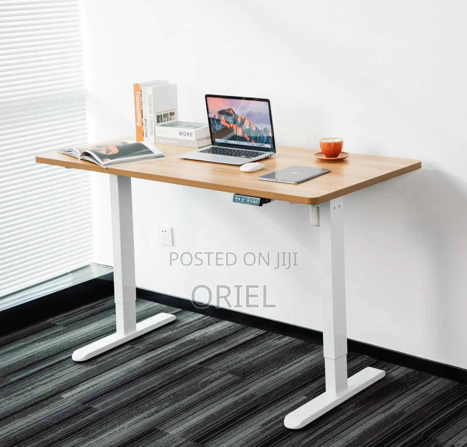 120CM Electric Desk : Electric Standing Computer Desk