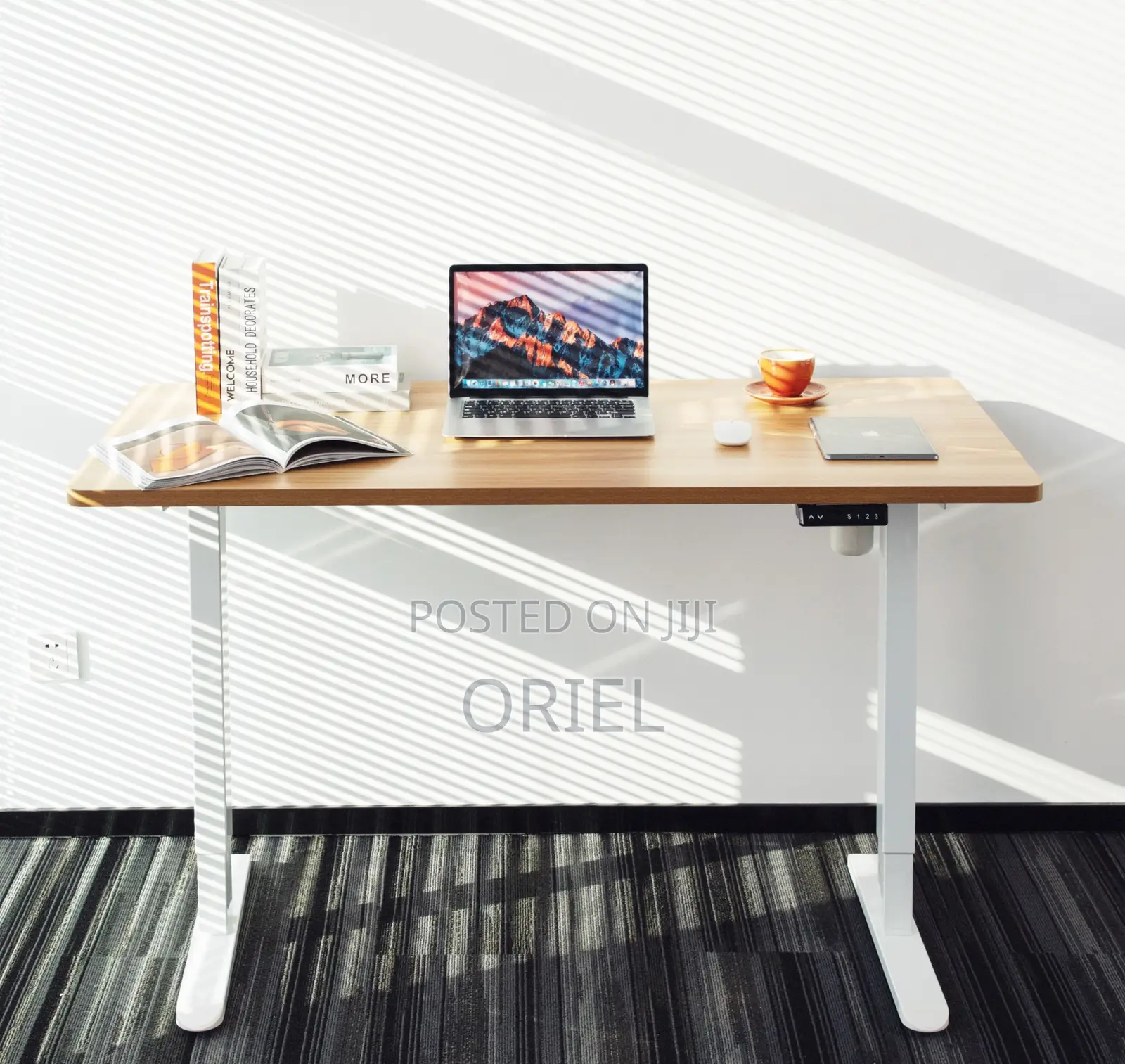 120CM Electric Desk : Electric Standing Computer Desk