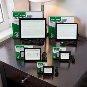 Factory Price 30W,50W,100W,200W 300W Watts AC Electric Flood Lights