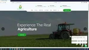Web Design And Development