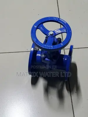Sluice Valve