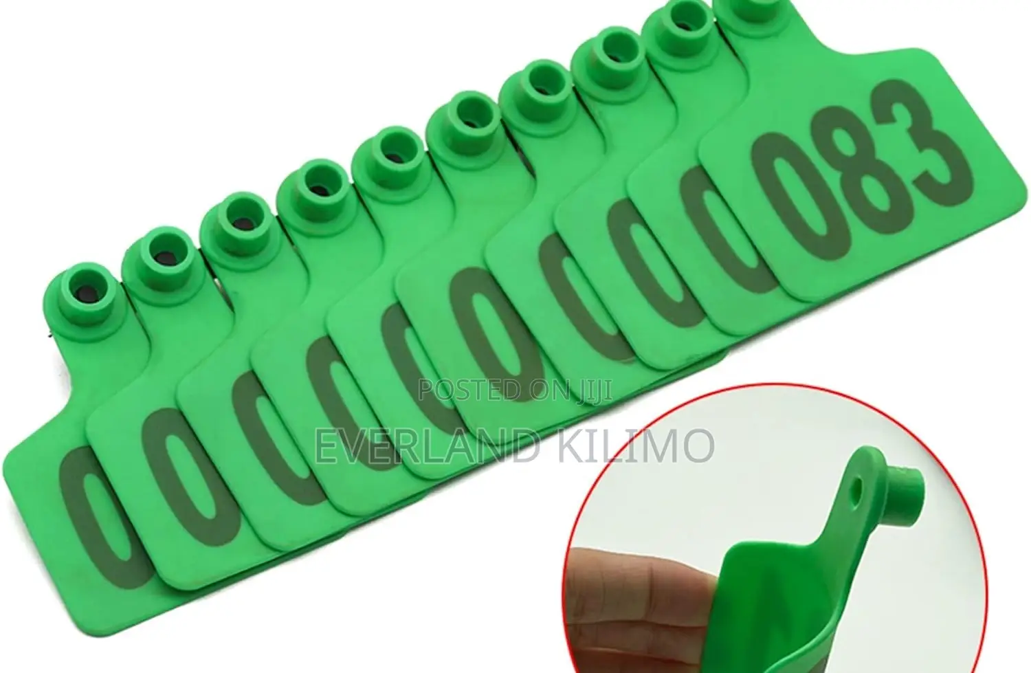 Long-Lasting Numbered Small Ear Tags for Goats and Sheeps