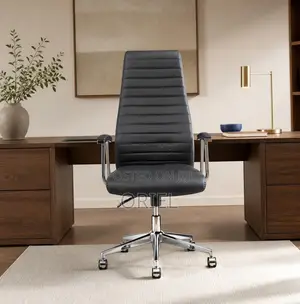 Executive Office Chair : High Back Manager Chair