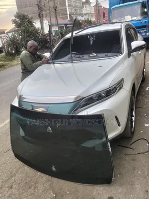 Carshield Windscreen