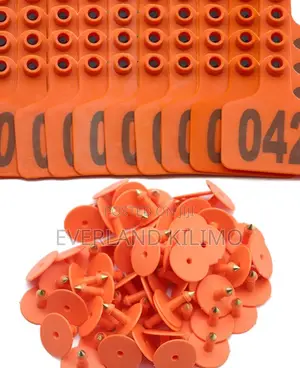 Animal Medium Numbered Ear Tags for Calf