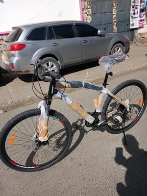 Mountain Reliable Size 29 Bike