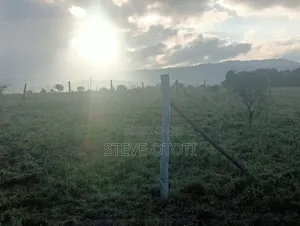 Plot for Sell at Joska Ndovoine  With Ready  Title  Deed at 550