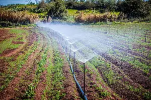 Drip Irrigation Systems