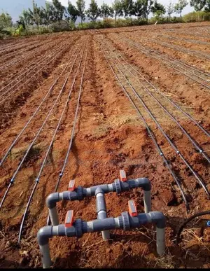 Drip Irrigation Systems