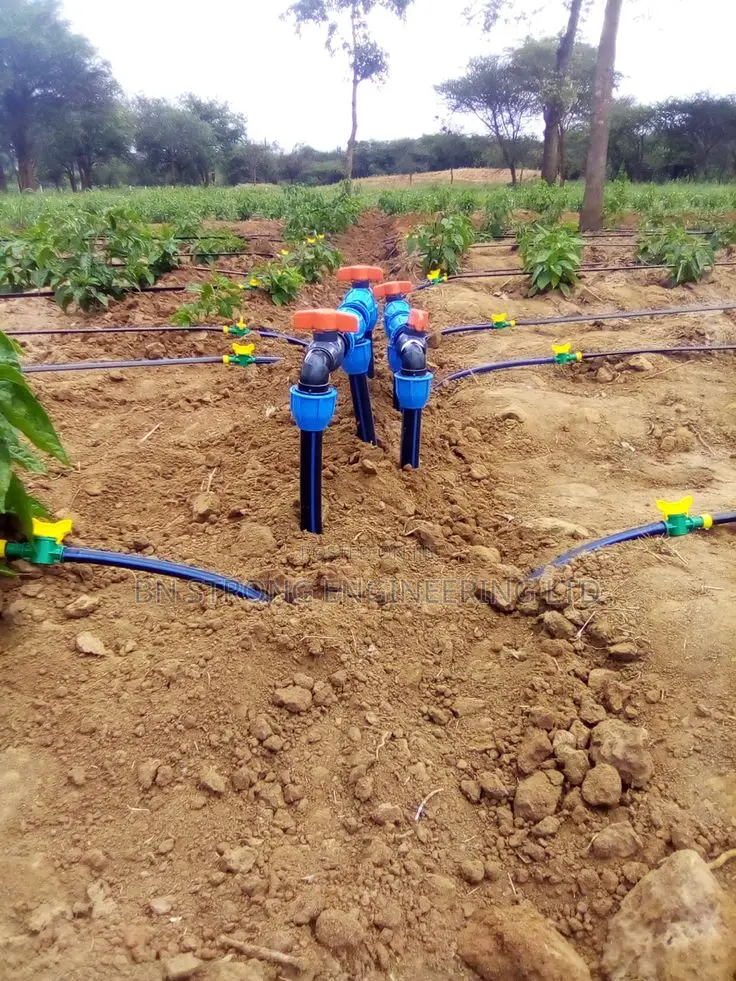 Drip Irrigation Systems