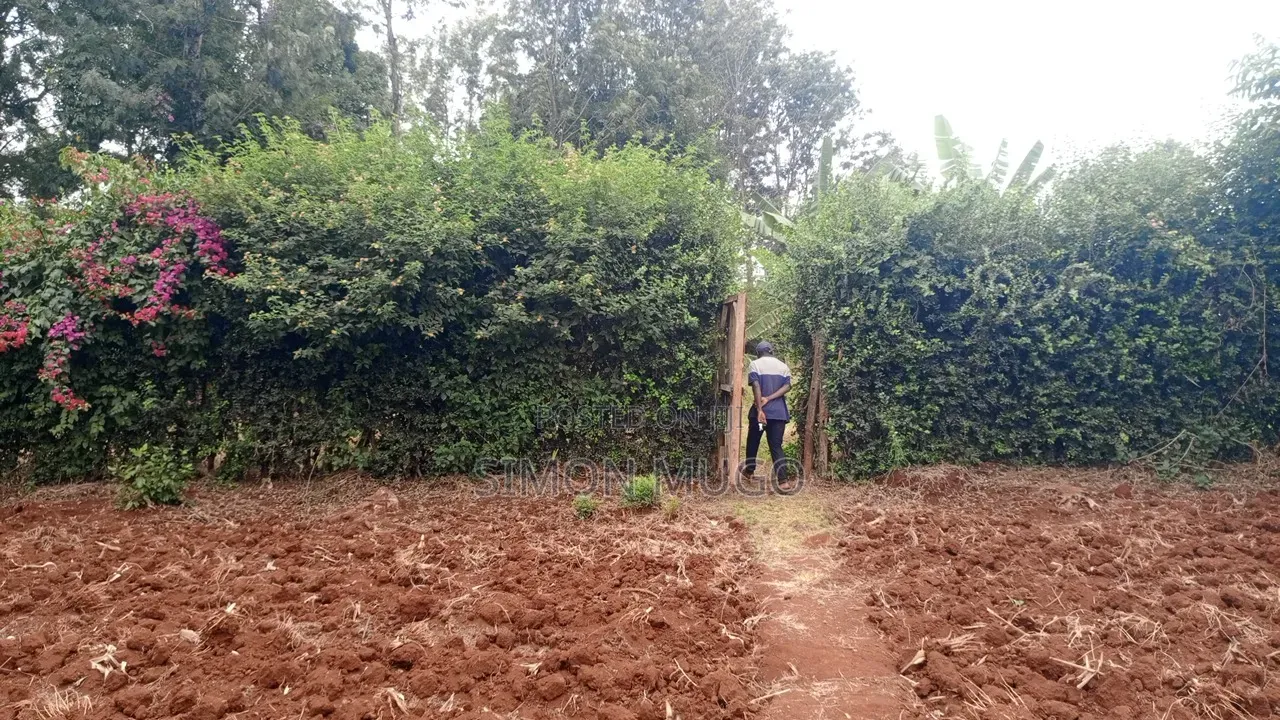 Golden Palm Estate Kiambu Rd Prime Serviced Red Soil 1/4 AC Plot