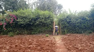 Golden Palm Estate Kiambu Rd Prime Serviced Red Soil 1/4 AC Plot