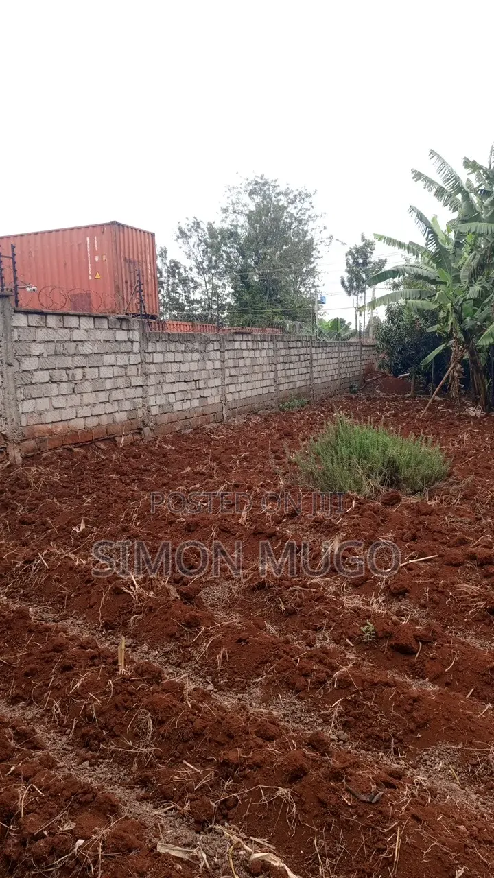 Golden Palm Estate Kiambu Rd Prime Serviced Red Soil 1/4 AC Plot