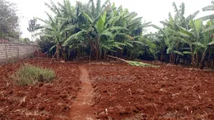 Golden Palm Estate Kiambu Rd Prime Serviced Red Soil 1/4 AC Plot