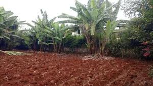 Golden Palm Estate Kiambu Rd Prime Serviced Red Soil 1/4 AC Plot