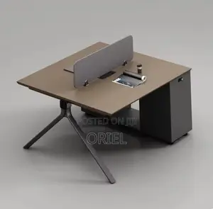 2-Way Office Workstation : Corporate Office Staff Workstation