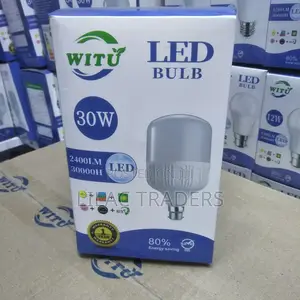 Emergency Light Bulb 30w_ Witu