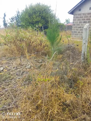 Katani Behind Goverment Affordable Houses 1 Acre Off Quarry Rd Sale