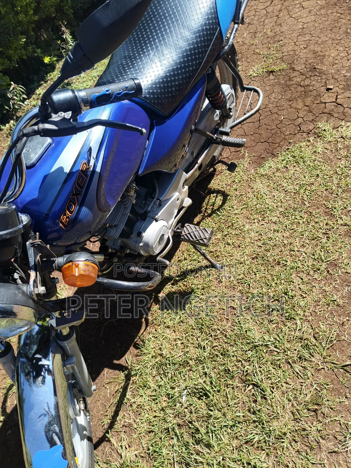 Bajaj Boxer 100 2025 Blue