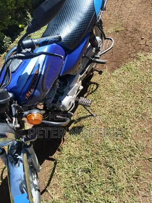 Bajaj Boxer 100 2025 Blue