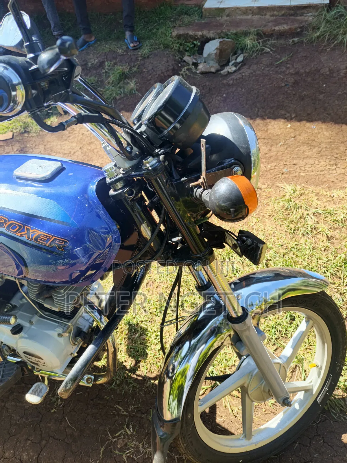 Bajaj Boxer 100 2025 Blue