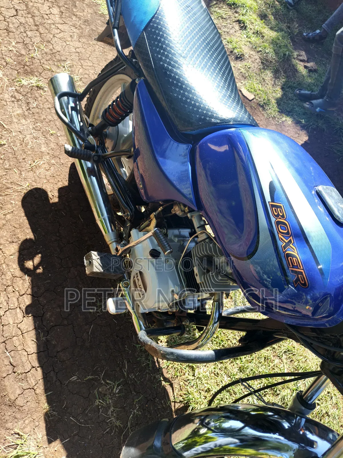 Bajaj Boxer 100 2025 Blue