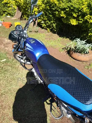 Bajaj Boxer 100 2025 Blue