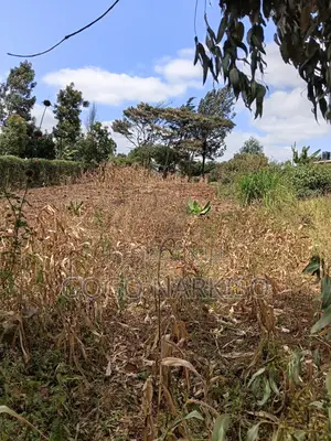 Prime Residential Plot.