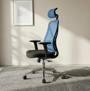 Office Chair : Blue Ergonomic Chair