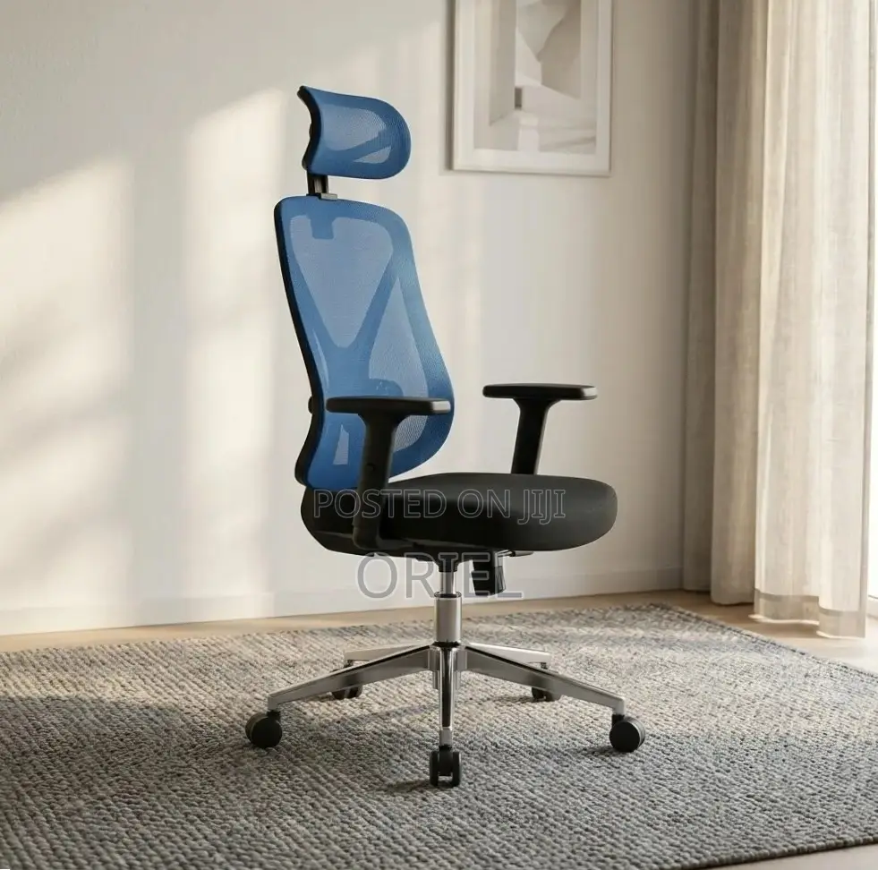 Office Chair : Blue Ergonomic Chair