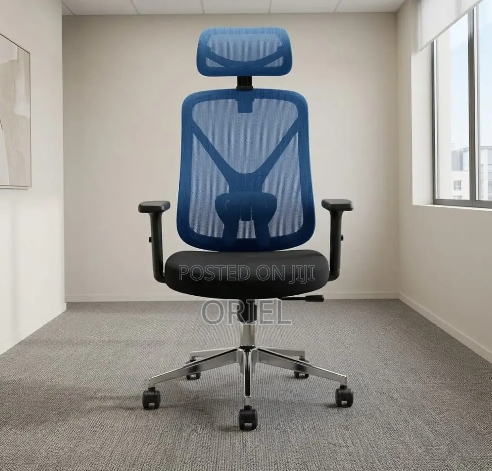 Office Chair : Blue Ergonomic Chair