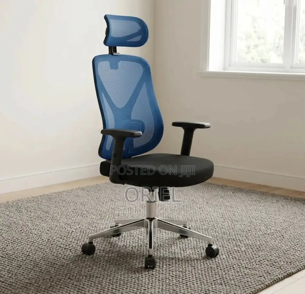 Office Chair : Blue Ergonomic Chair